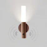 Motion Sensor Light